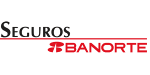 Seguro7.png