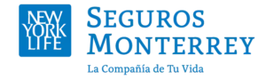Seguro9.webp